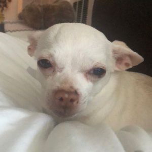 Meet your Posher, Aracely